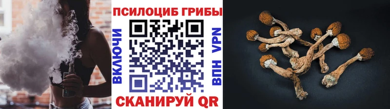 Галлюциногенные грибы мухоморы  цены   Зеленодольск 